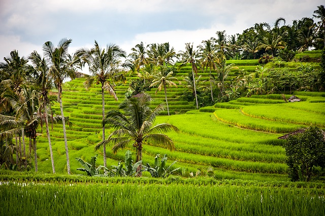 Fly drive Indonesië