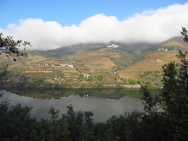 Douro Vallei