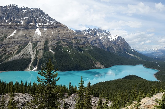 Jasper Nationaal Park