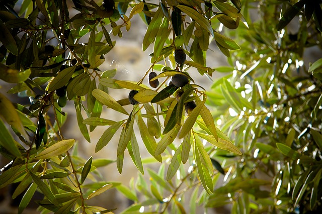 Natuurparken Portugal