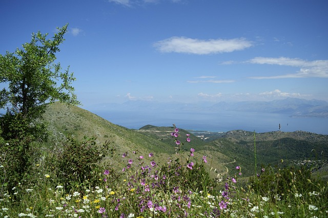 Pantokrator
