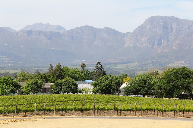Stellenbosch